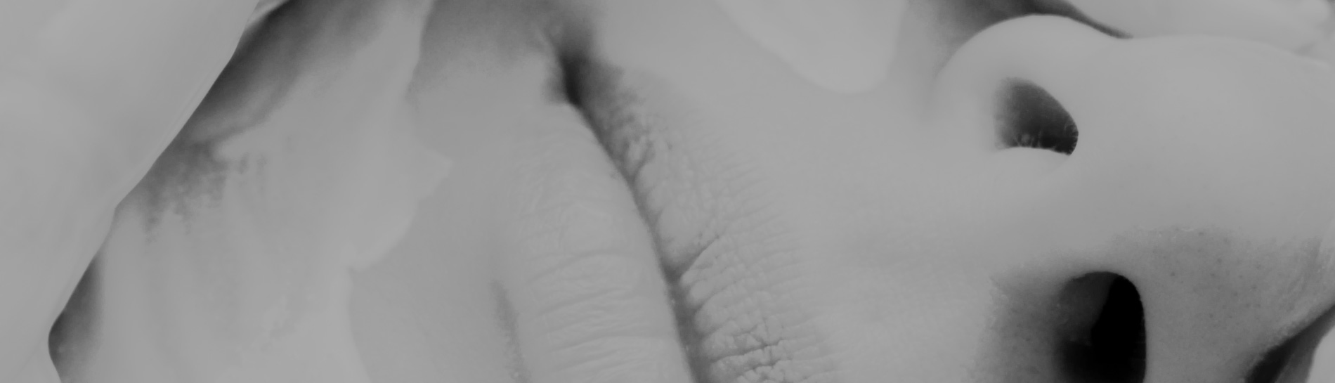 Dry